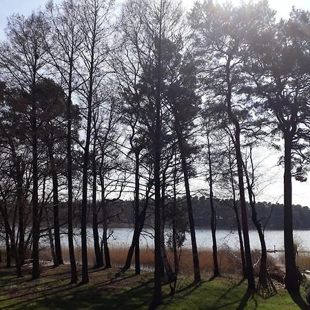 Haus Wilma Gruene Idylle Im Wald Direkt Am See Wendisch Rietz Exterior foto